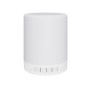 Haut-parleur Bluetooth camera espion wifi HD 1080P et lampe à suspendre