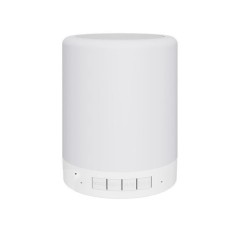 Haut-parleur Bluetooth camera espion wifi HD 1080P et lampe à suspendre