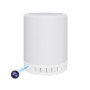 Haut-parleur Bluetooth camera espion wifi HD 1080P et lampe à suspendre