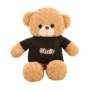 Ours en peluche à caméra espion HD 1080P Wifi à détecteur de mouvement 