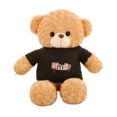 Ours en peluche à caméra espion HD 1080P Wifi à détecteur de mouvement 