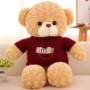 Ours en peluche à caméra espion HD 1080P Wifi à détecteur de mouvement 