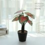 Pot de fleur plante artificielle à caméra espion 4K Wifi HD 1080P
