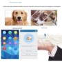 Collier localisateur GPS 4G waterproof pour chiens avec suivi en temps réel