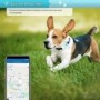 Balise GPS 4G animal de compagnie étanche avec suivi en temps réel
