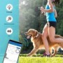 Balise GPS 4G animal de compagnie étanche avec suivi en temps réel
