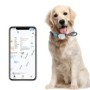 Traceur GPS 4G waterproof polyvalent humain et animal de compagnie