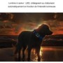 Localisateur GPS animal étanche avec suivi localisation en temps réel
